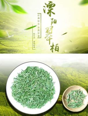 南山滴翠茶葉多少錢，淺談品茶之道及其價格浮動因素